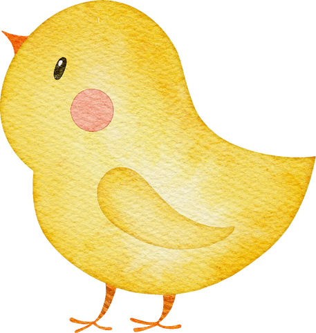 Watercolor chicken illustration